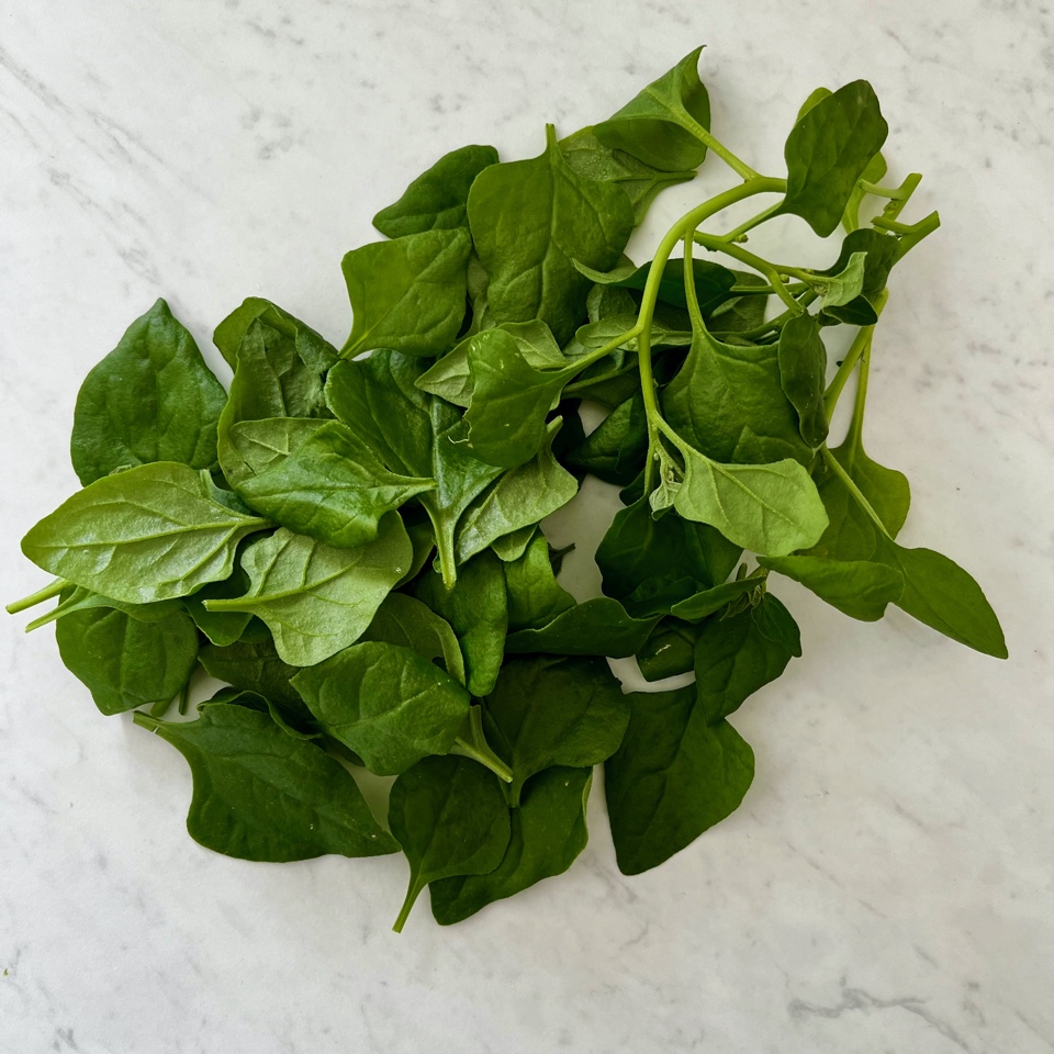 WARRIGAL GREENS