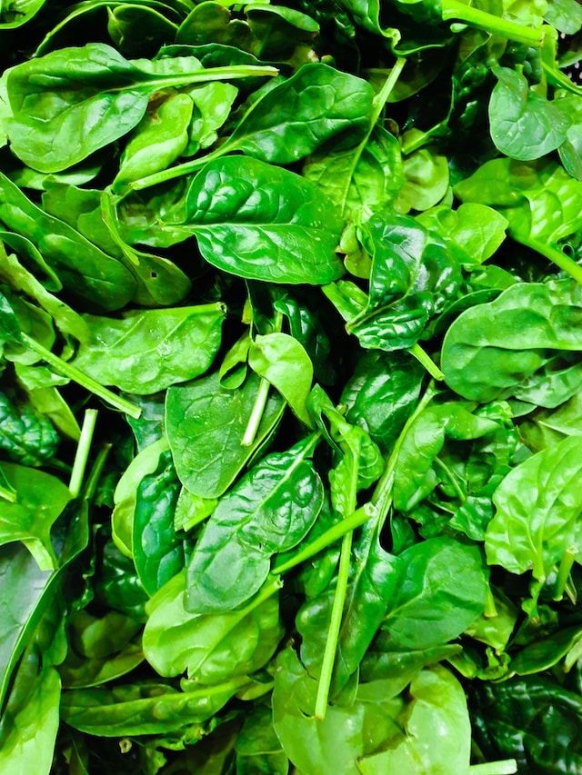 Baby spinach loose over whole background