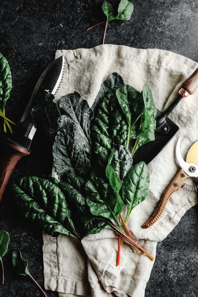 chard silverbeet leaves on beige cotton cloth with gardening tools around them on dark background