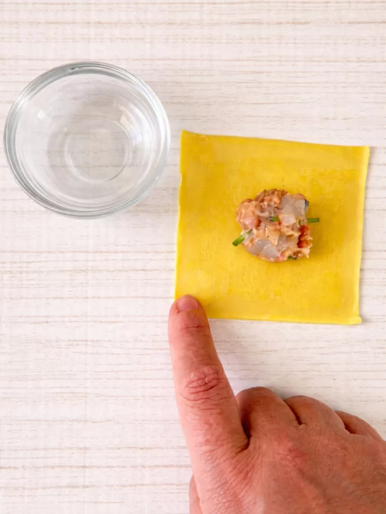 filling wonton wrappers