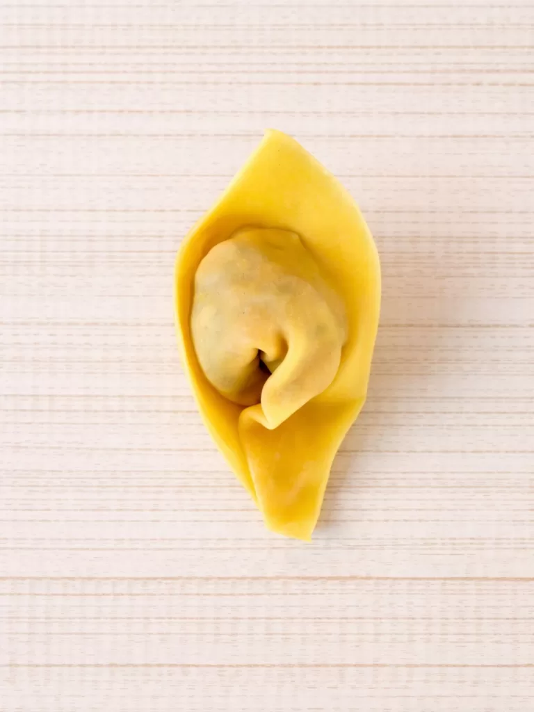folding wontons
