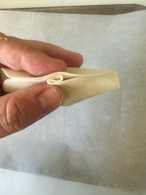 pleating a dumpling wrapper