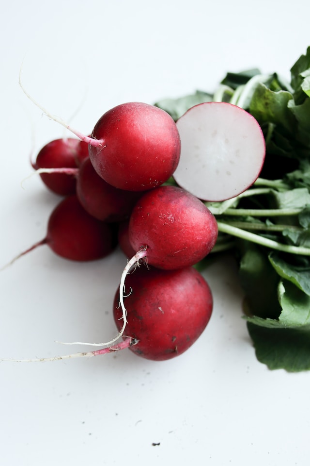 radish bunch on white background