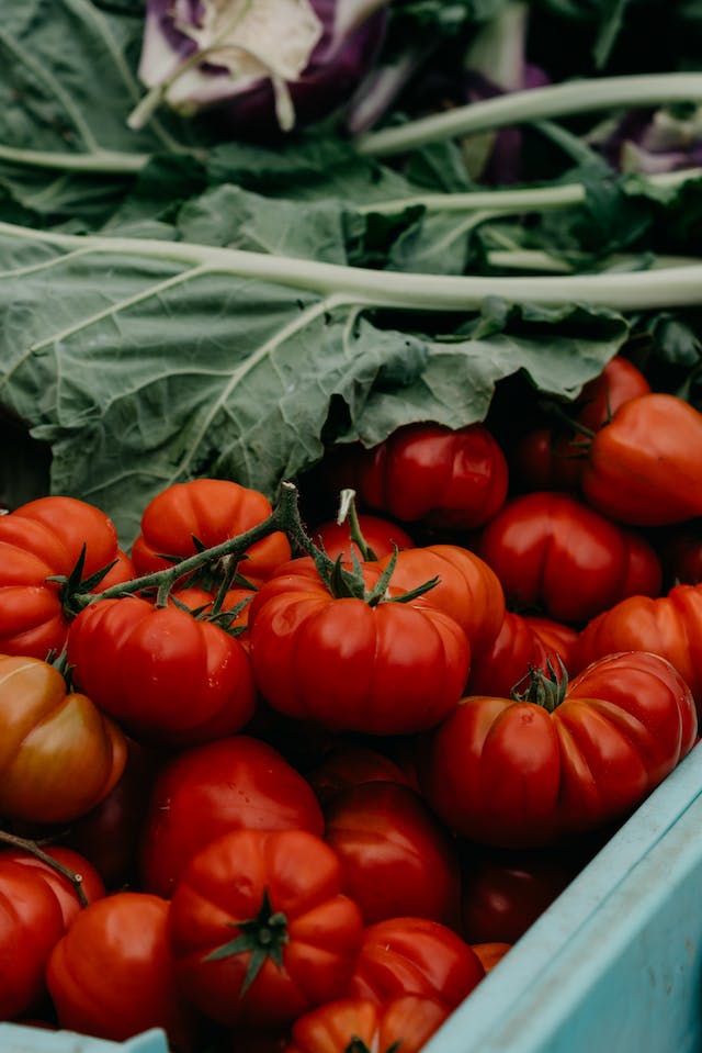 tomatoes and chard 