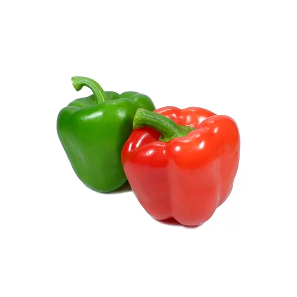 red and green capsicum, white background