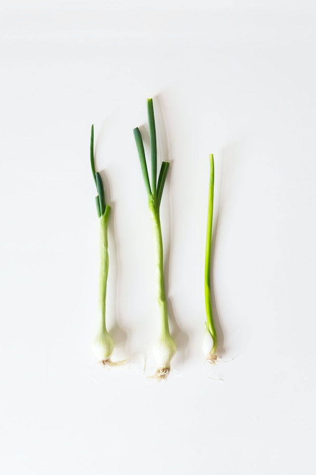 3 green onions laying flat on white background
