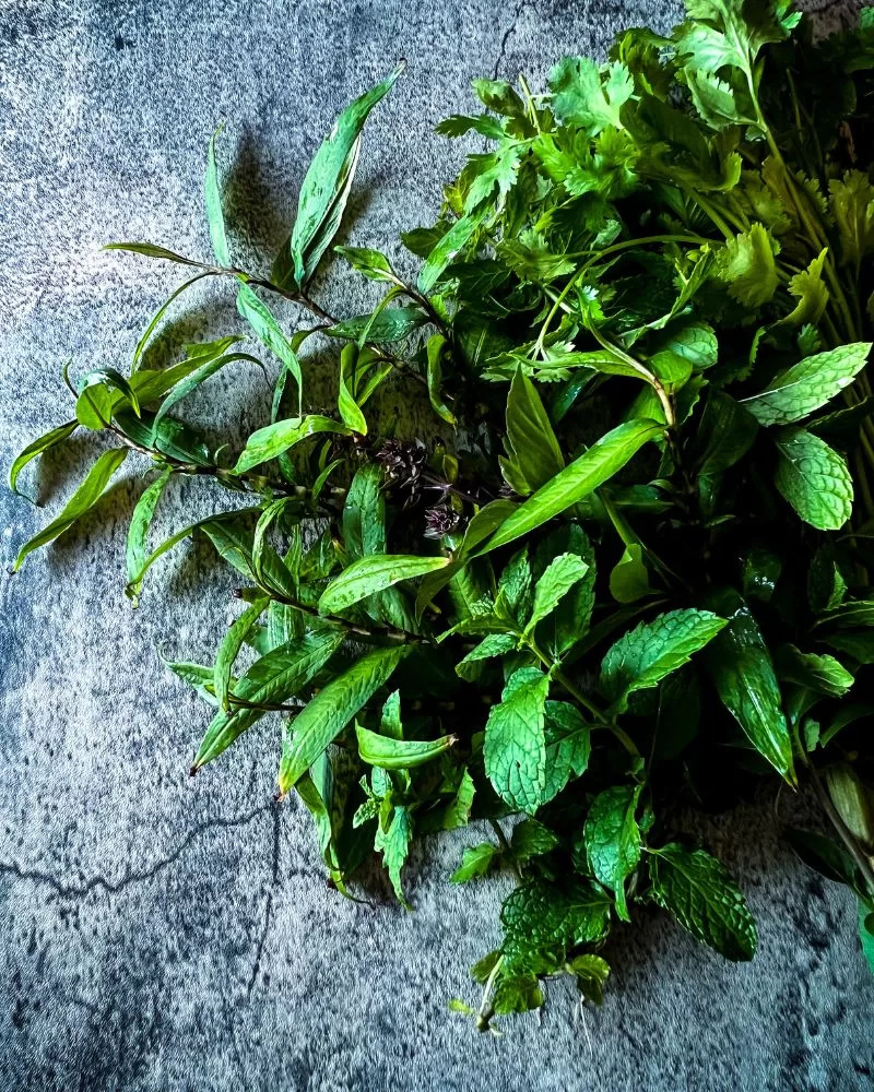 Fresh asian herbs on marble background