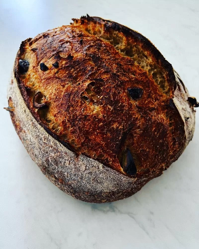 Olive and Rosemary Sourdough Loaf