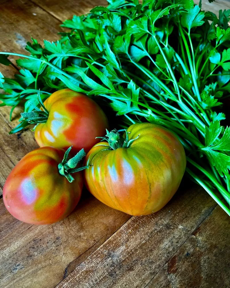 homegrown tomatoes and parsley