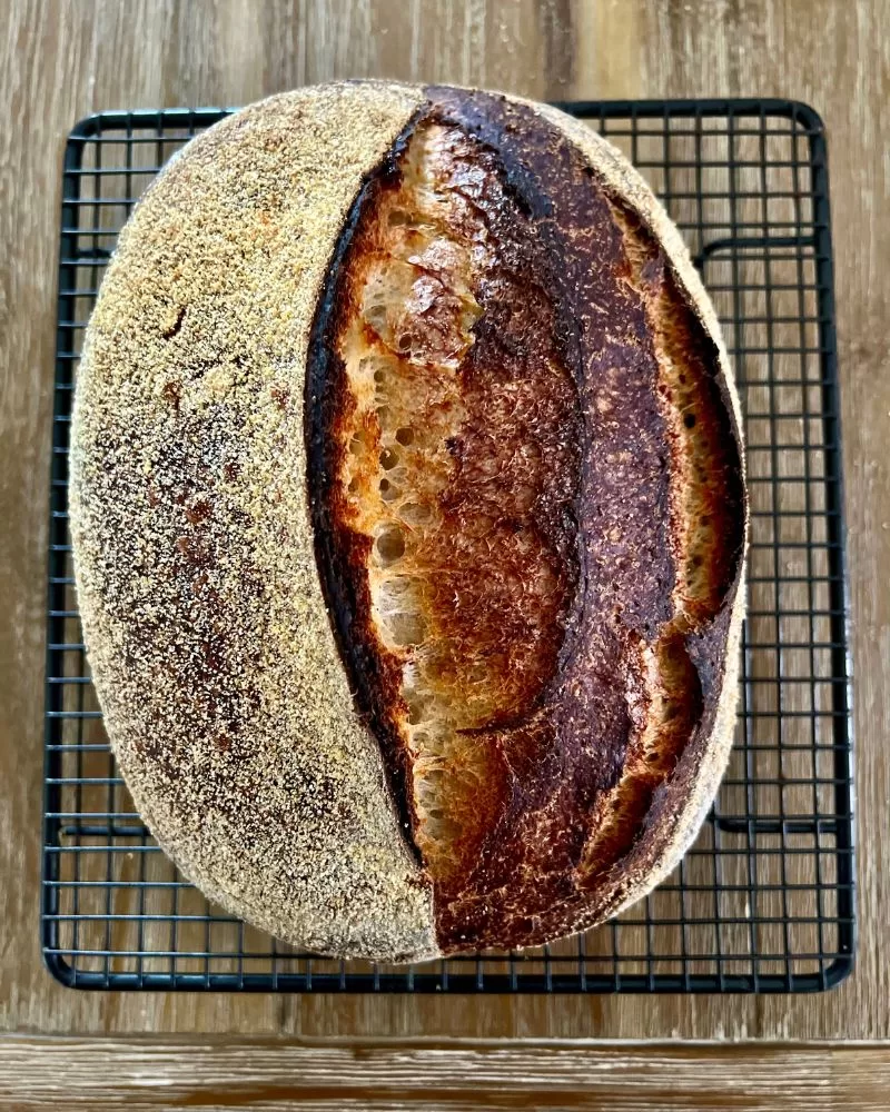 Sourdough Polenta Loaf