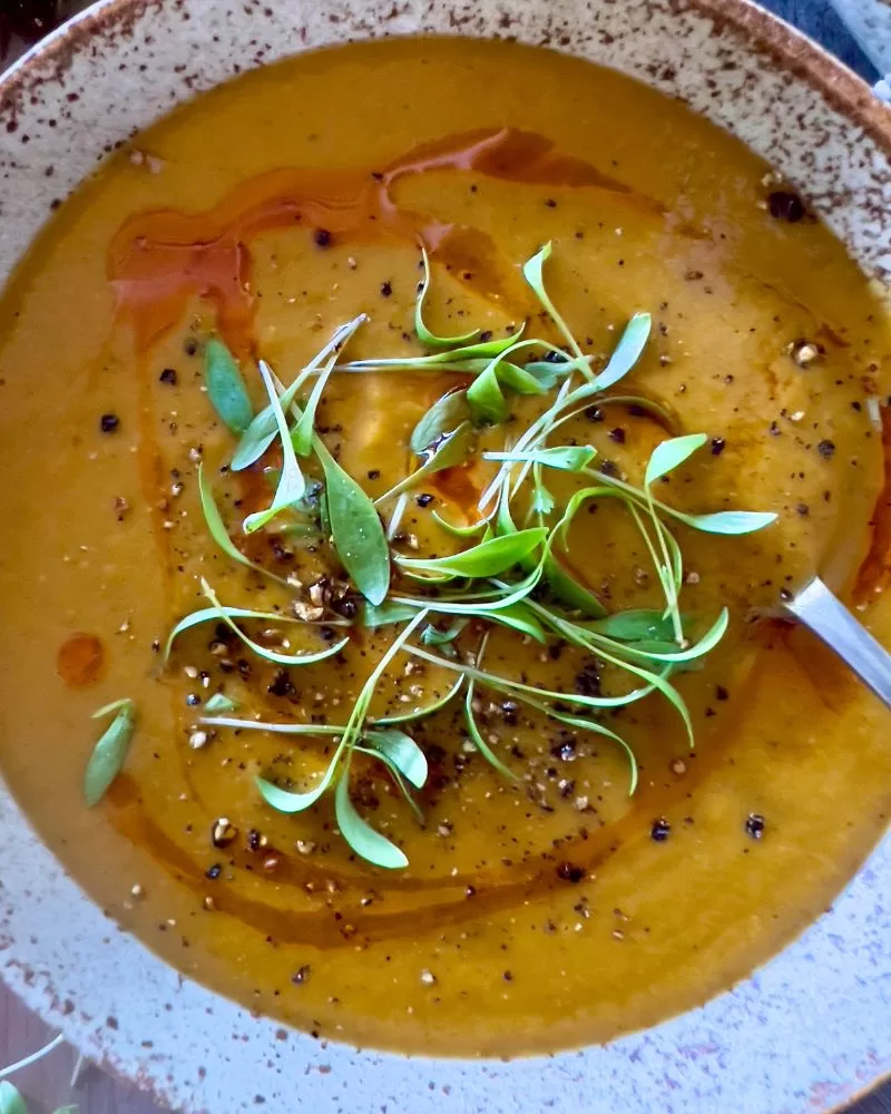 close up of microgreens in a bowl of soup