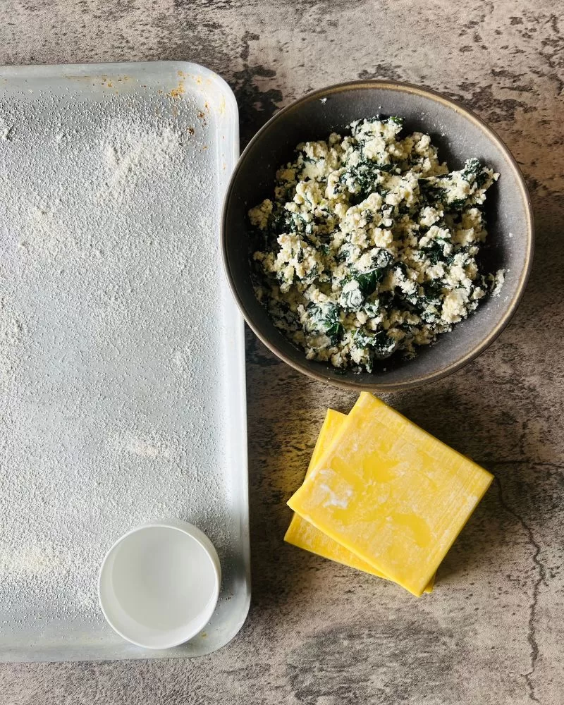 tray for ravioli, wonton wrappers and filling