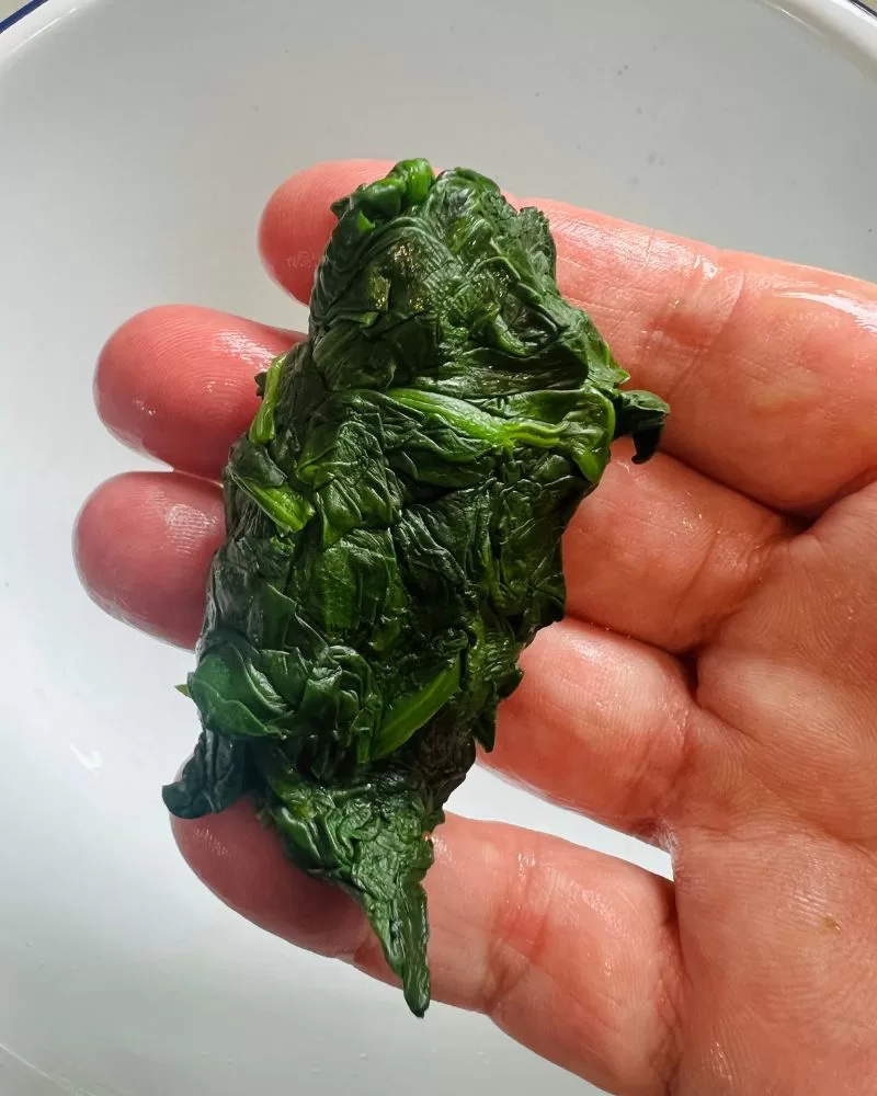 hand holding squeezed spinach bundle