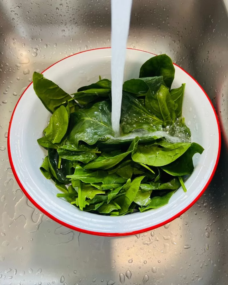 washing spinach leaves